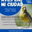 AVES EN MI CIUDAD: Talleres de avifauna para todas las edades